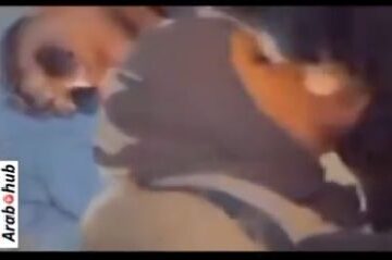 عراقية تمص لصديقها في الحديقة - سكس عراقي