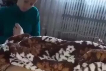 سكس مصرية بعد ما زوجها خرج تجيبهم أمام الشغالة - سكس عربي