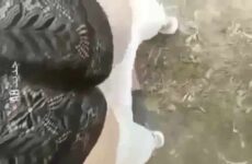 نيك جزائري عنيف في الغابة - سكس عربي - سكس جزائري