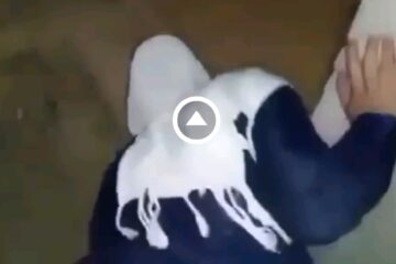 سكس جزائري ينيك خالته المحجبة قبل مجيئ أمه - سكس عربي