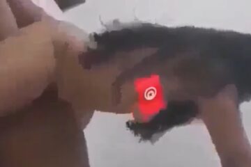 سكس تونسية سخونه برشا طالعة فوق الزب ـ سكس عربي